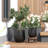 Signature Genthner 1-Piece Fiberstone Tapered Planter For Indoor/Outdoor-1608764906-1608764904