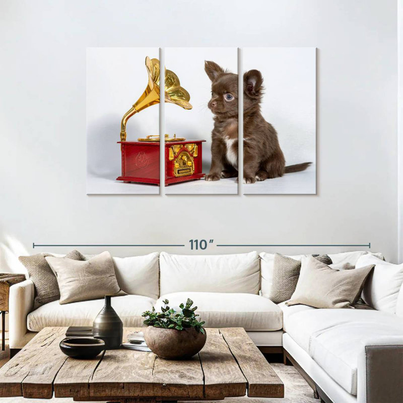 Brampt Melomaniac Chihuahua, 48" H x 74" W