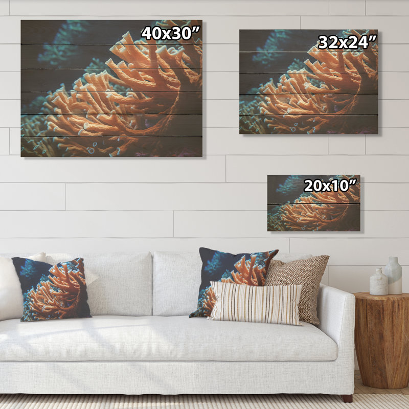 Orange, branche de corail sur fond de corail sous-marin, H 24 po x l 32 po
