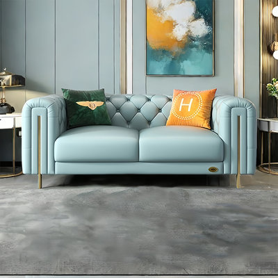 American light luxury simple small apartment sofa