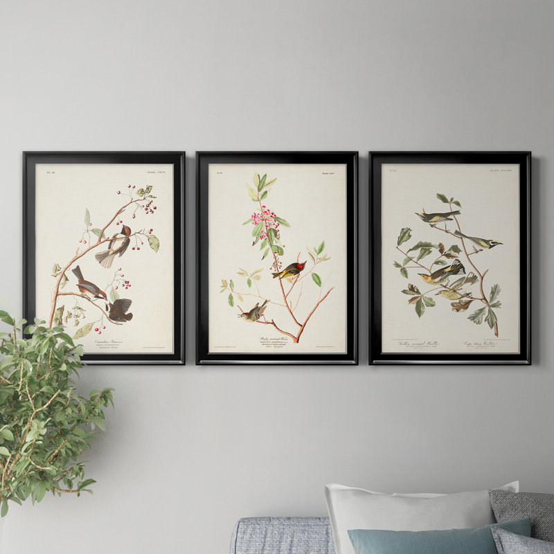 Pl. «194 Canadian Titmouse», ensemble de 3 reproductions d'art sur toile encadrées, H 18,5 po x l 73,5 po x P 1,5 po