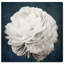 Floral et botanique, jolie vue II, impression d'art moderne sur toile pour le salon-479276826-433071623