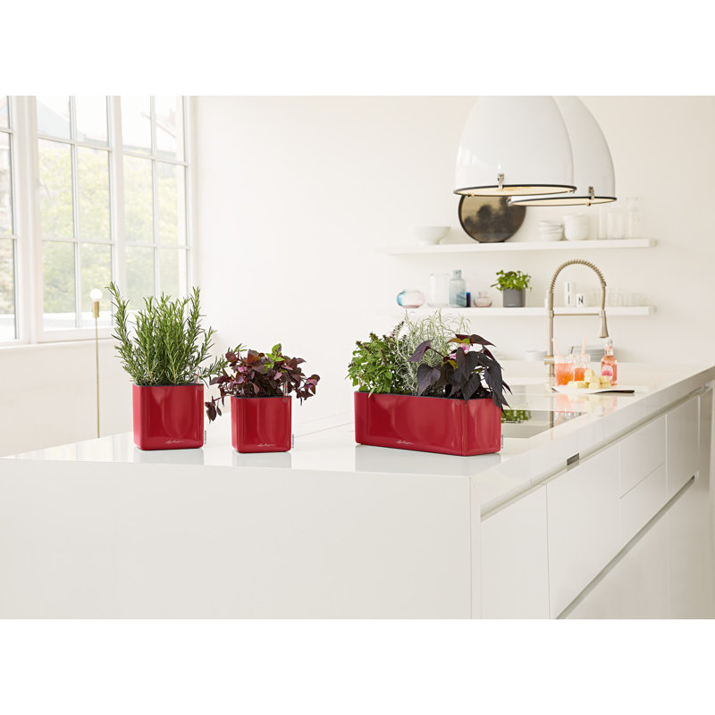 Cube Pot Planter, Scarlet Red