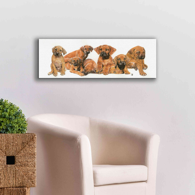 «Rhodisian Ridgeback Puppies» par Barbara Keith