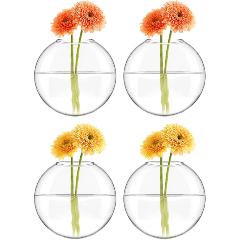 Wall Hanging Propagation Vases Set, 4