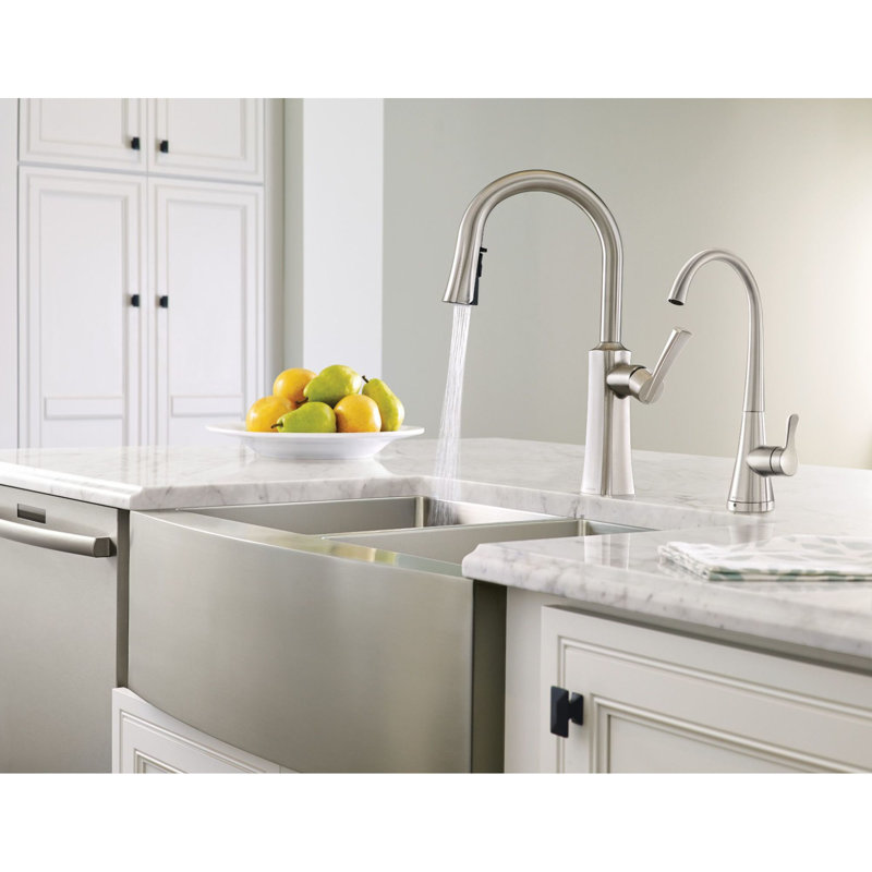 Etch Pull Down Single Handle Kitchen Faucet with Duralock and Reflex