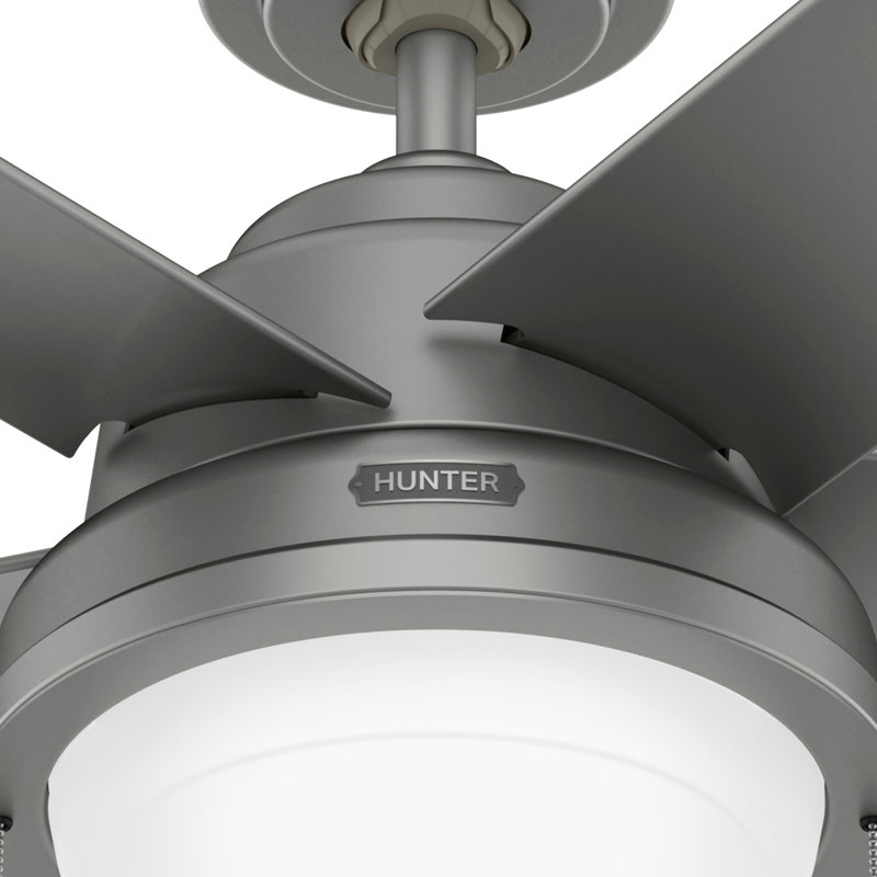 44" Squall 5 - Blade Indoor Outdoor WeatherMax LED Standard Ceiling Fan With Light Kit Included