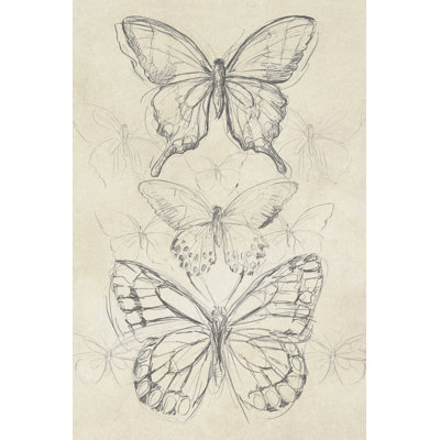 " Vintage Butterfly Sketch II " by June Erica Vess