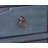 Buffet Server Cabinet, No Assembly Required, Corduroy