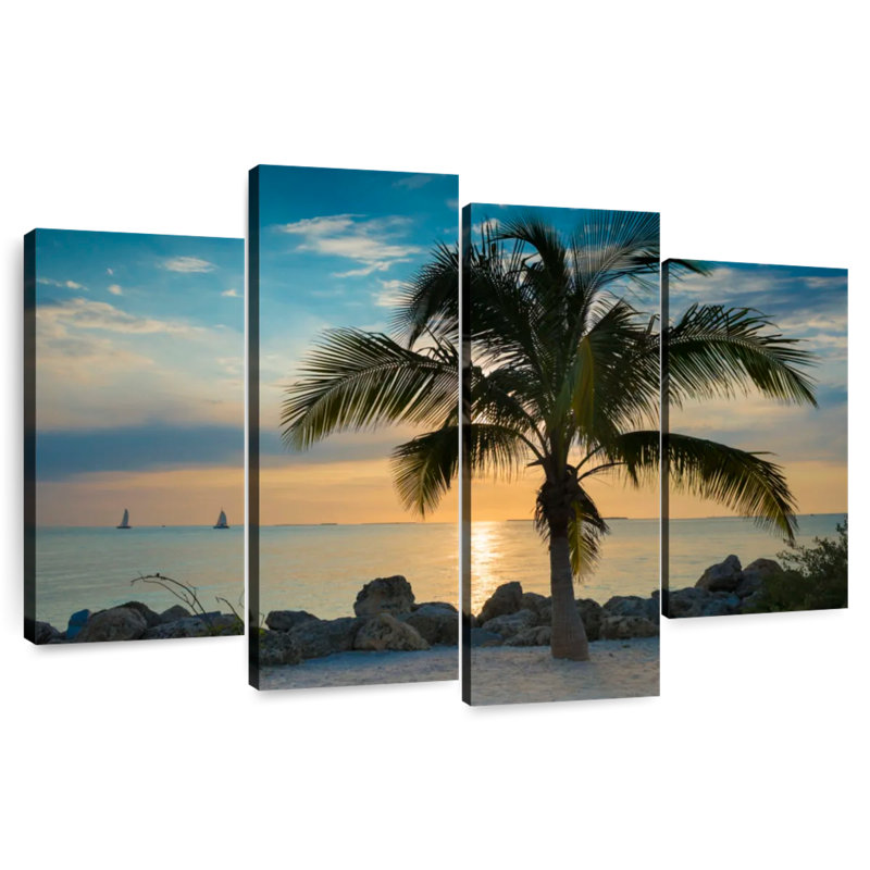 Palmier Gillard Key West, H 22 po x l 36 po