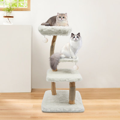 Structure d'escalade à plusieurs niveaux pour chat