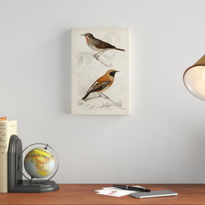 Peinture sur toile, D'orbigny Birds VI