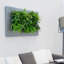 Metal Planter-319983642-393750022