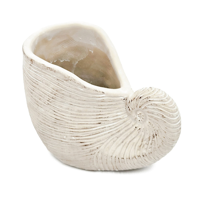 Textured Beige 8.5X5.5X6.3 Inches Sand And Cement Shell Planter, Suitable For Tulip Planting Planter With Appearance, Great Ivy Displays