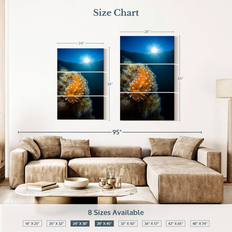 Brampt Crested Aeolis, 38" H x 24" W