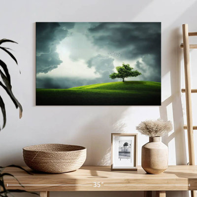 Alvord Cloudy Field