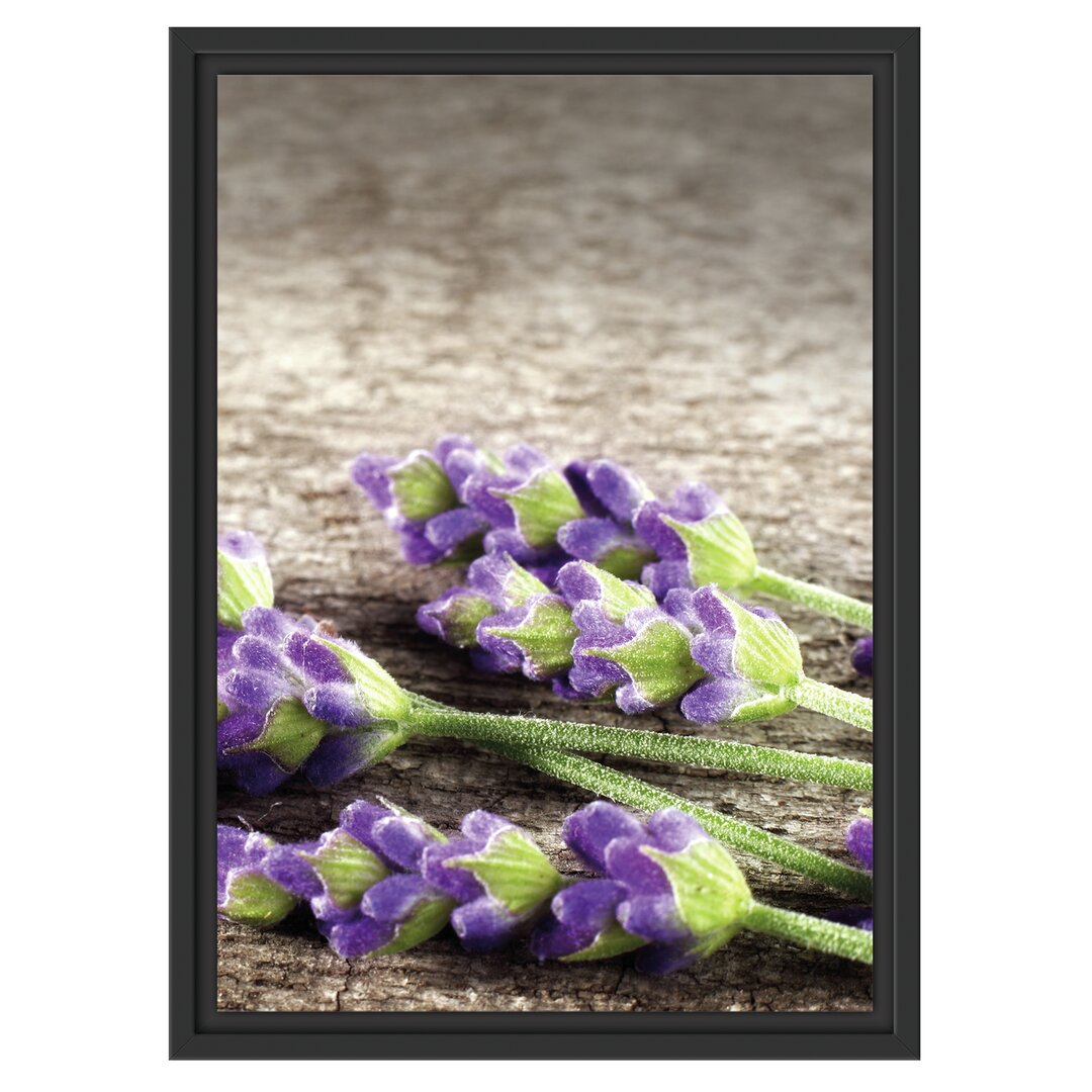 Gerahmtes Wandbild Lavendel auf Holz