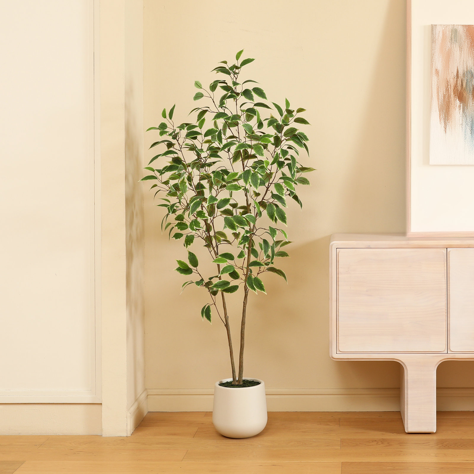 Adcock Ficus Tree in Pot, 60" H x 20" W x 20" D