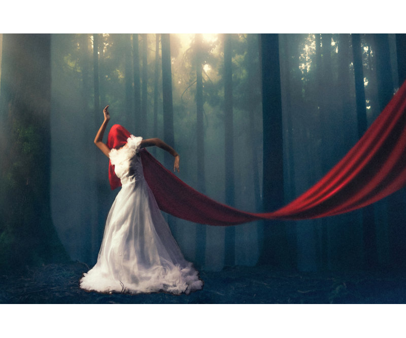 Wrapped Canvas Print