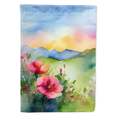 Drapeau de maison en polyester à double face H 40 po x l 28 po