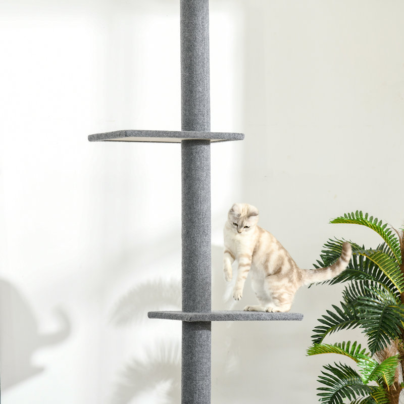 Arbre à chat, tour d'escalade du sol au plafond avec poteaux à griffes recouverts de sisal Centre d'activité naturel pour arbre à chat pour chat