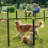 Multi-sized Metal Dog Exercise Pen Panels with 3 Doors-111054758