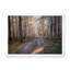 Road Thorugh Winter Forest Trees - reproduction d'art sur toile encadrée-752427693-752427694