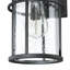 Schlesinger Matte Black Outdoor Wall Lantern-19868896
