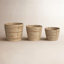 Handmade Seagrass Decorative Basket - Set of 3