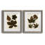 Feuilles d'automne III - ensemble de 2 reproductions d'art-813424195-814180503-814180505