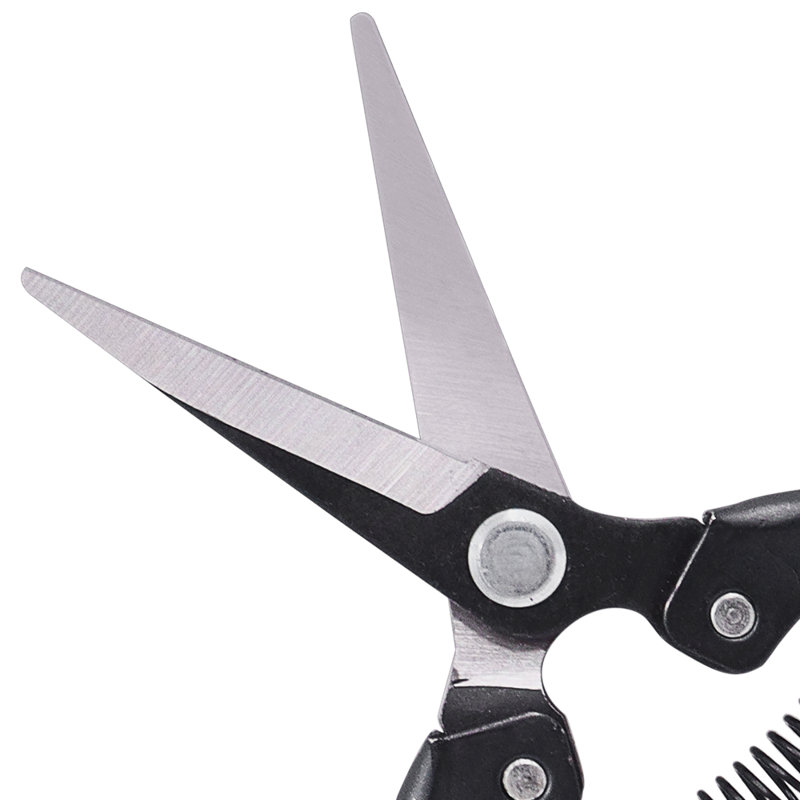 Zenport, Carbon
