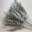 Ensemble 50 pièces d'eucalyptus artificiel