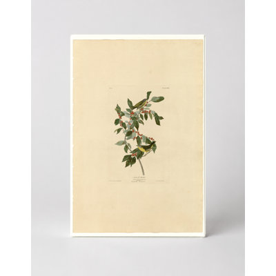 Nashville Warbler (Plate LXXXIX) — Portrait Canvas Wall Art