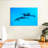 Brampt Maui Spinner Dolphins-108815035
