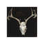 Matrimony I Print by Sarah Atkinson-26927486-26927491