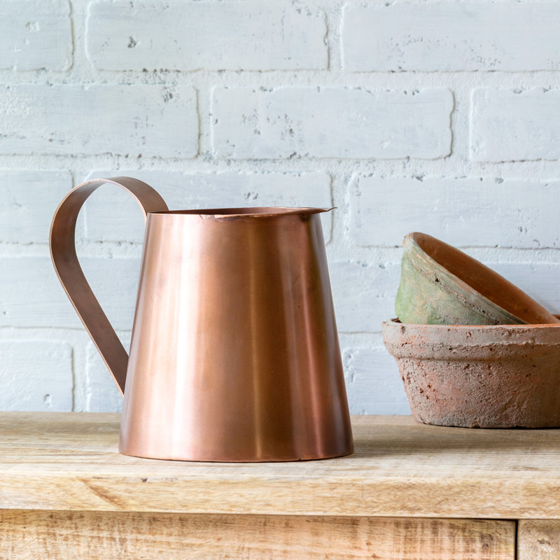 Calandra Stainless Steel Pitcher