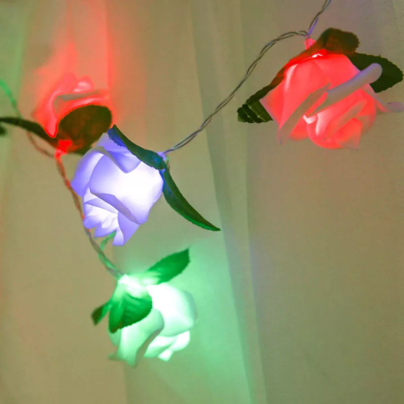 Guirlande de 20 lumières DEL Keasia