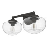 Hunter Saddle Creek 2 Light Vanity Wall Light Fixture
