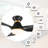 Dyonne 45'' Ceiling Fan with LED Lights-90847212