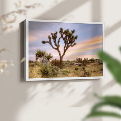 Joshua Tree Sunrise -Framed Print - Restickable