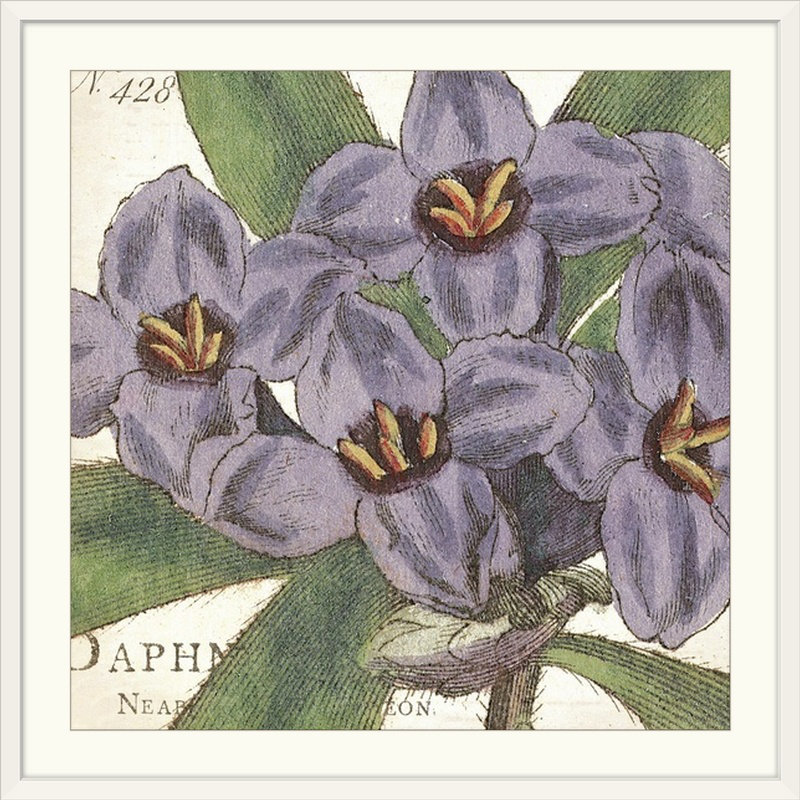 " Purple Floral ", White Frame, 24" H x 24" W x 1" D