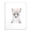 Art sur toile Gupton «Fluffy Fox Flowers»-29576026-29576028