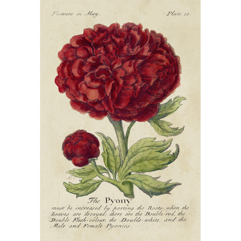 Gardeners Guide III - Wrapped Canvas Print, 46cm H x 30cm W