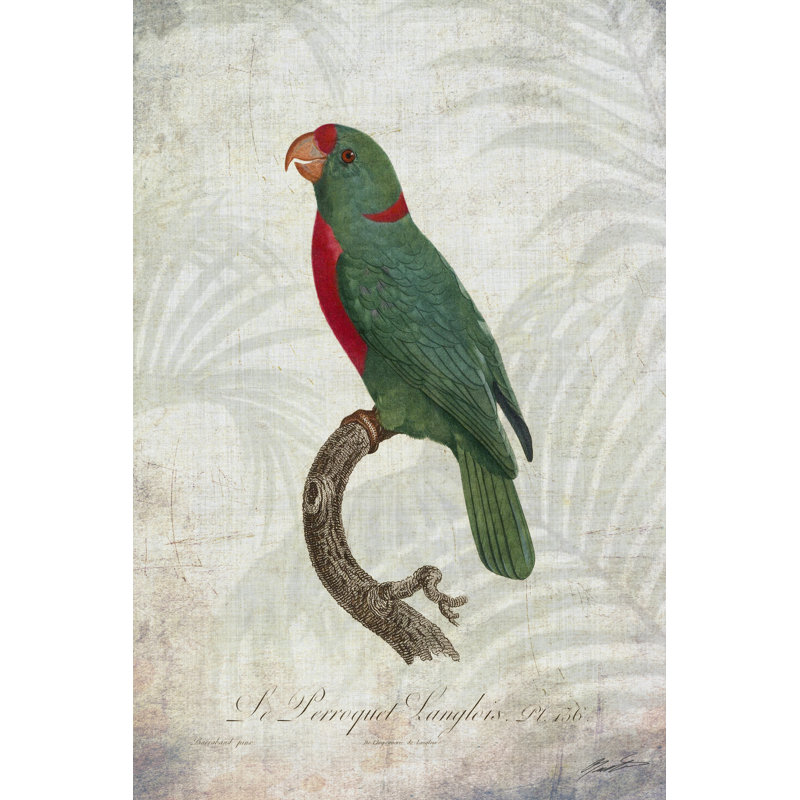 Parrot Jungle VI - Wrapped Canvas Print, 30cm H x 20cm W x 3.8cm D