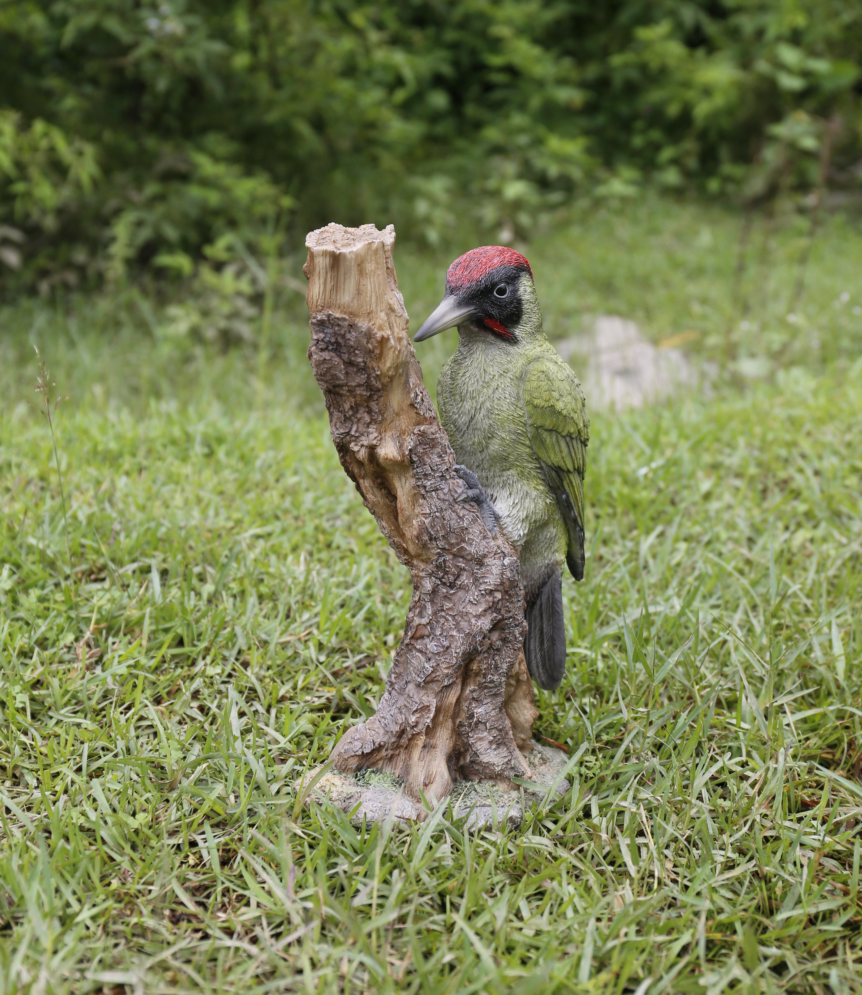 Hi-Line Gift Ltd. Woodpecker on Stump Statue & Reviews - Wayfair Canada