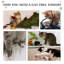 Northborough 46cm H Cat Tree-2092566916