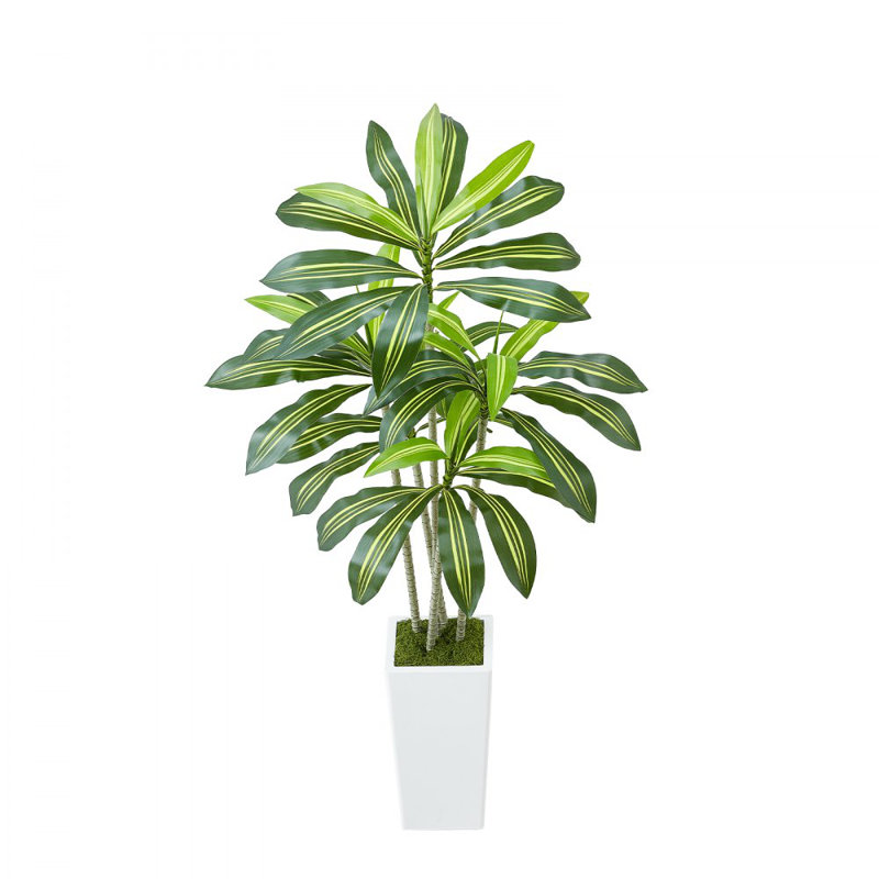 Artificial Dracaena Tree 5 ft, Fake Palm Tropical Plants with White Tall Planter, Faux Floor Silk Plant in Pot, Large Trees for Home Office Living Room Decor House Warming, Indoor Outdoor