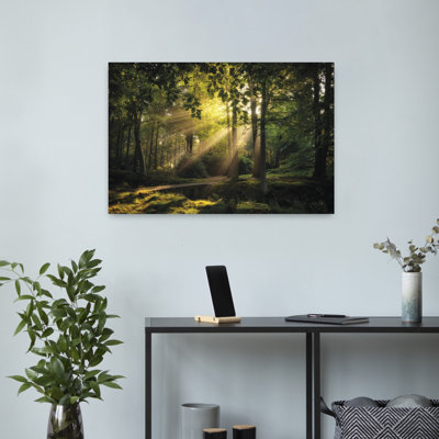 Pont vers la lumière, art contemporain de paysage forestier