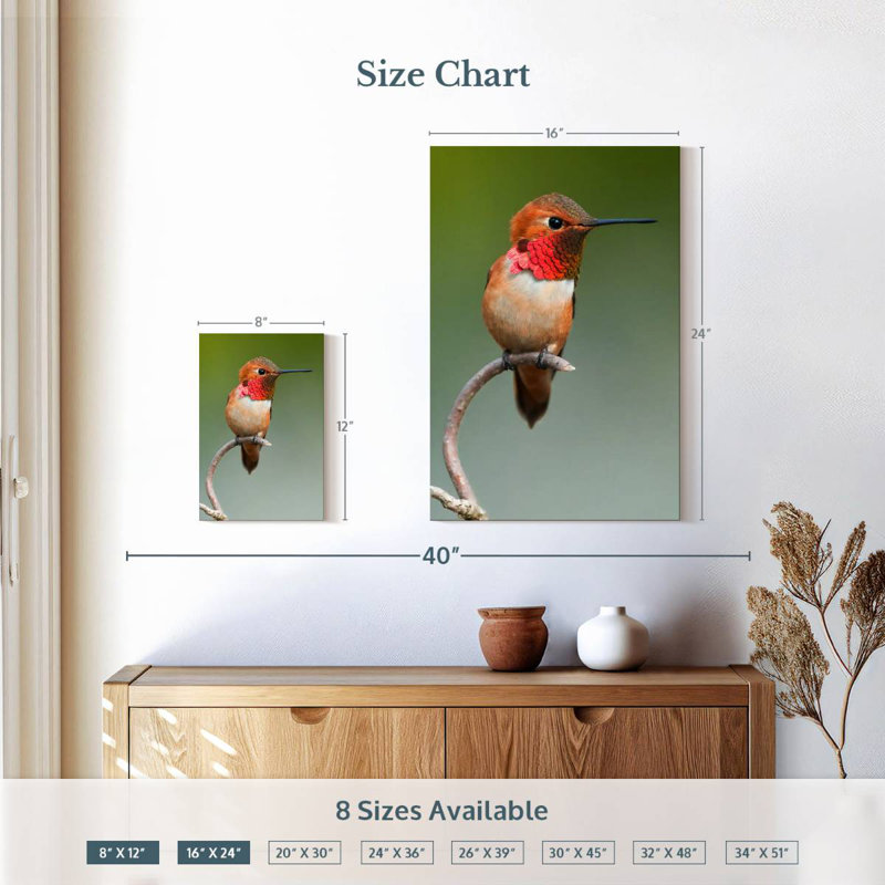 Brampt Male Rufous Hummingbird, 24" H x 16" W