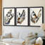 ANIMALS Series CECXLIX - Impression encadrée sur mesure de qualité supérieure - 3 pièces-759222100-759222123